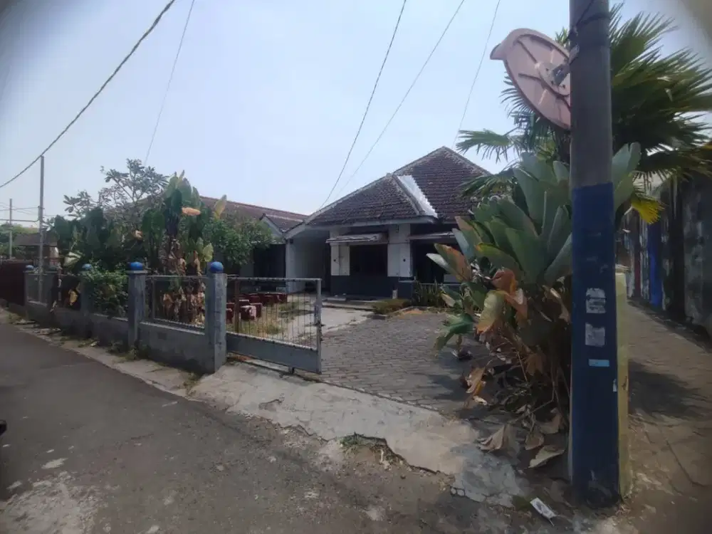 DIJUAL RUMAH CANTIK HALAMAN LUAS BEKAS CAFE LOKASI TENGAH KOTA JEMBER