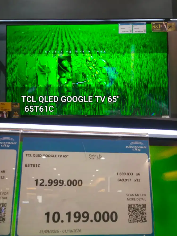 TCL QLED GOOGLE TV 65