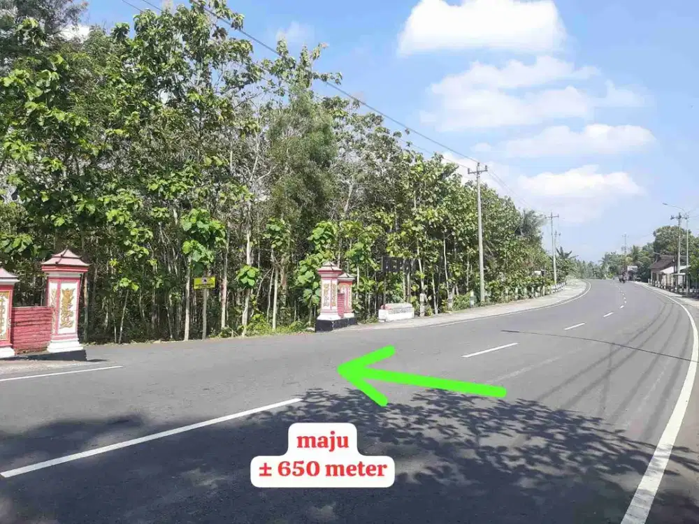 Tanah Murah Sentolo Kulon Progo
