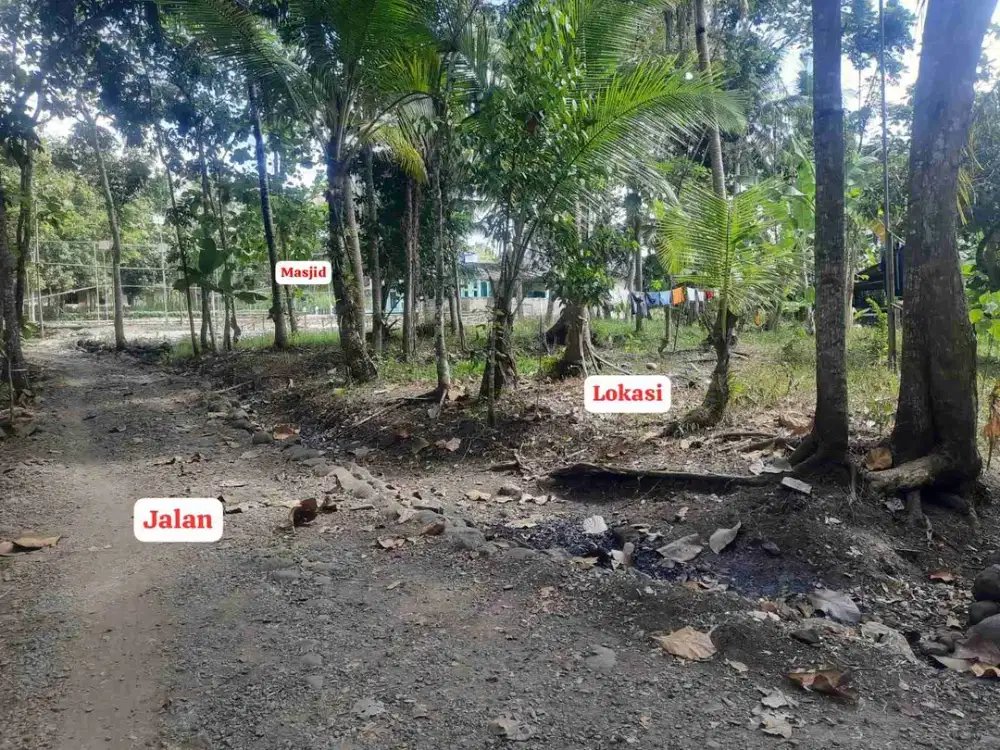 Tanah Murah di Banyuroto Nanggulan kulon Progo
