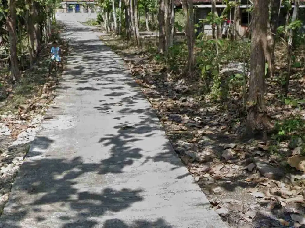 Tanah Murah Di Srikayangan Sentolo Kulon Progo