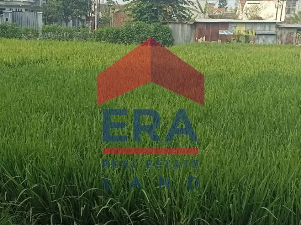 Dijual Tanah Sawah di Jalan Sekarpuro Pakis Malang
