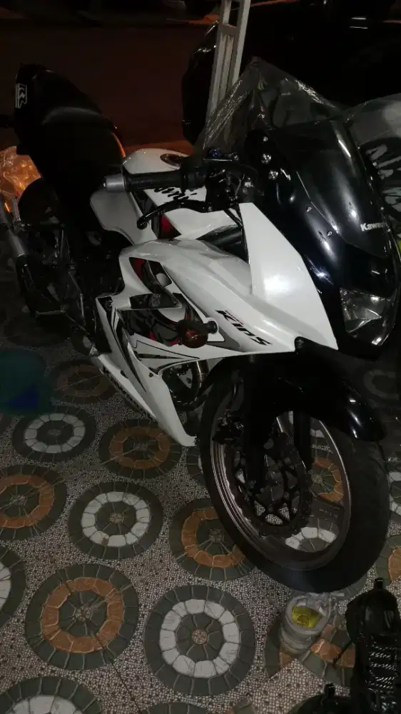 Kawasaki Ninja RR 150