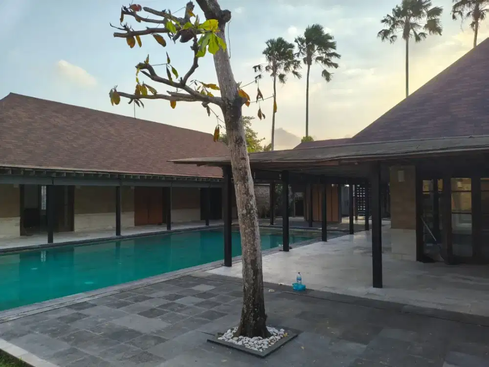 Villa Luas 4 Kamar Tidur Disewakan di Kerobokan Area