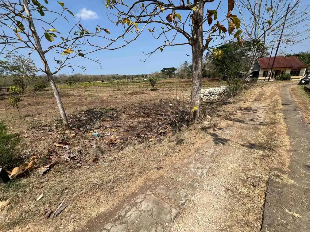 tanahdatar murah di kota semanu