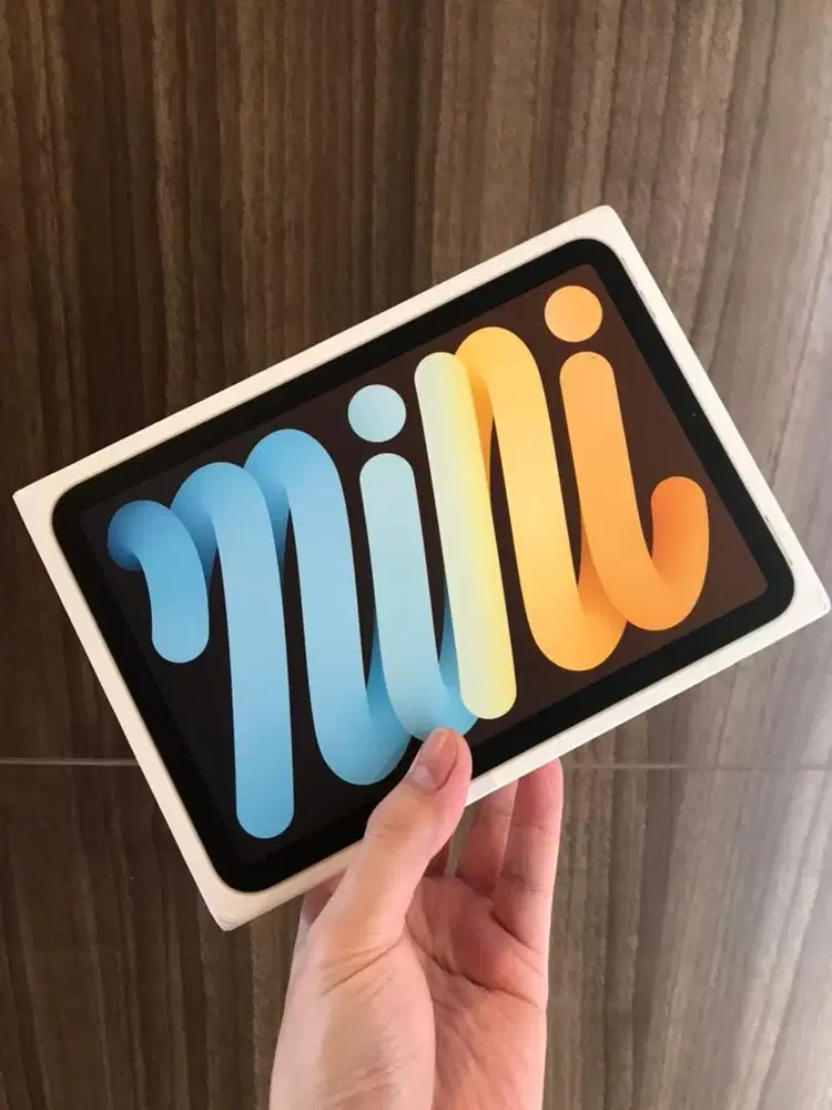 Ipad Mini 6 + Apple Pencil Lengkap