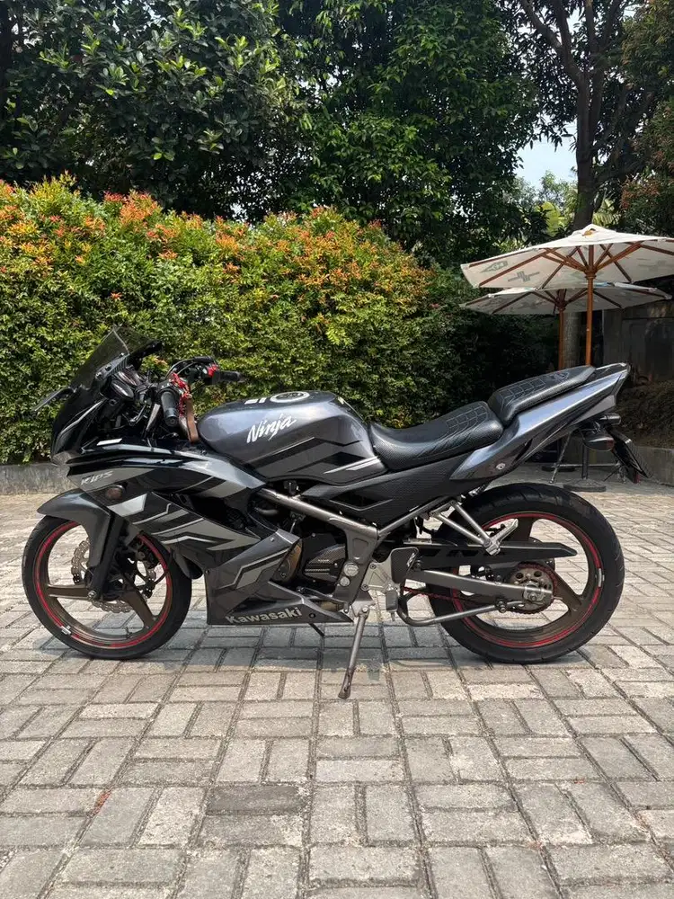 NINJA RR 150 SILVER 2015 LAST EDITION