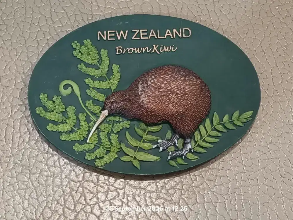 Pajangan Dinding New Zealand Kiwi
