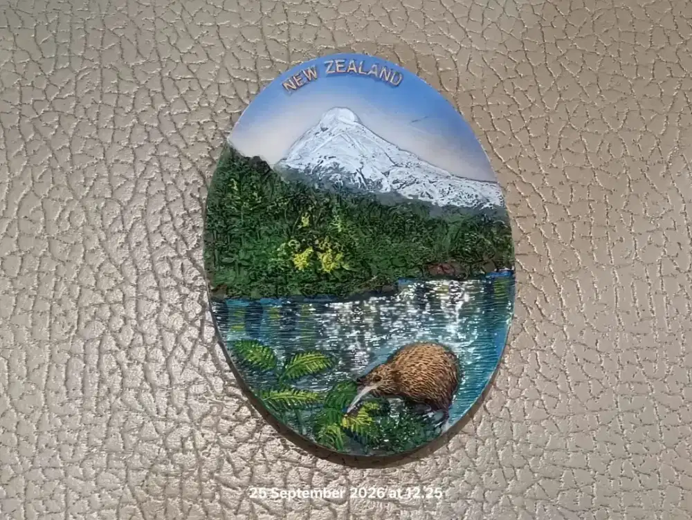 Pajangan Dinding New Zealand Kiwi