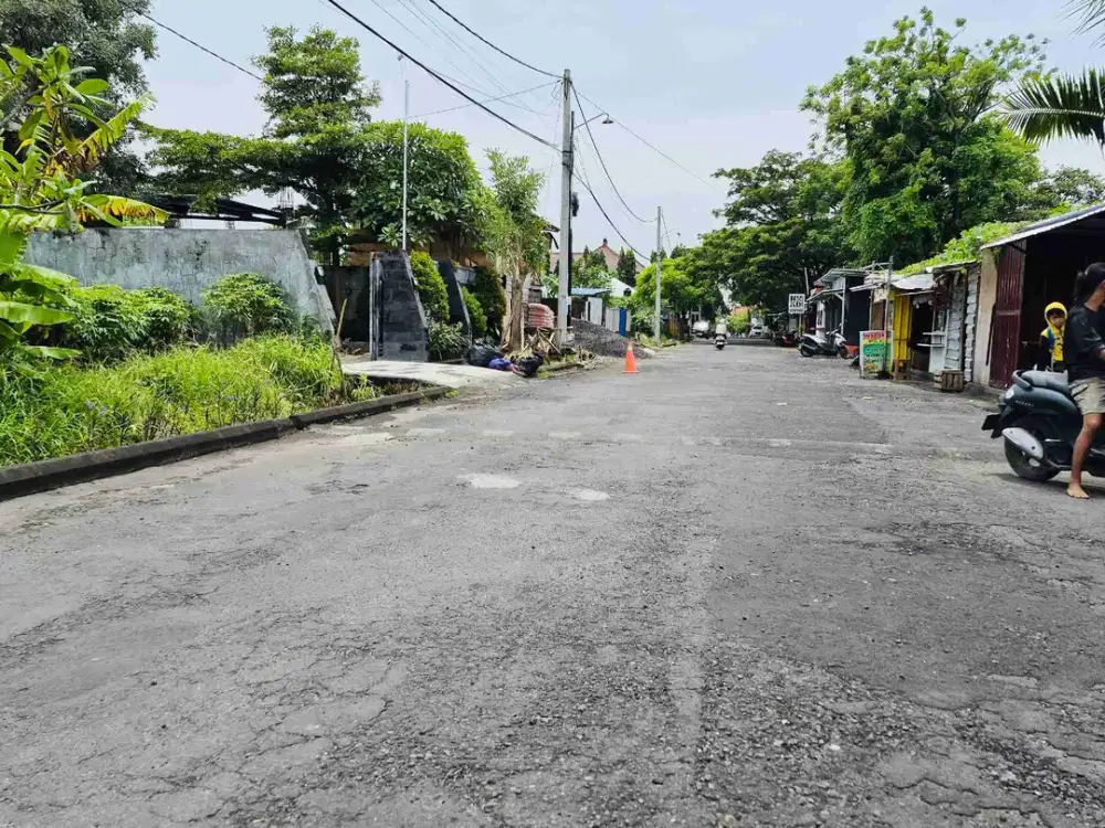 Tanah badak agung renon