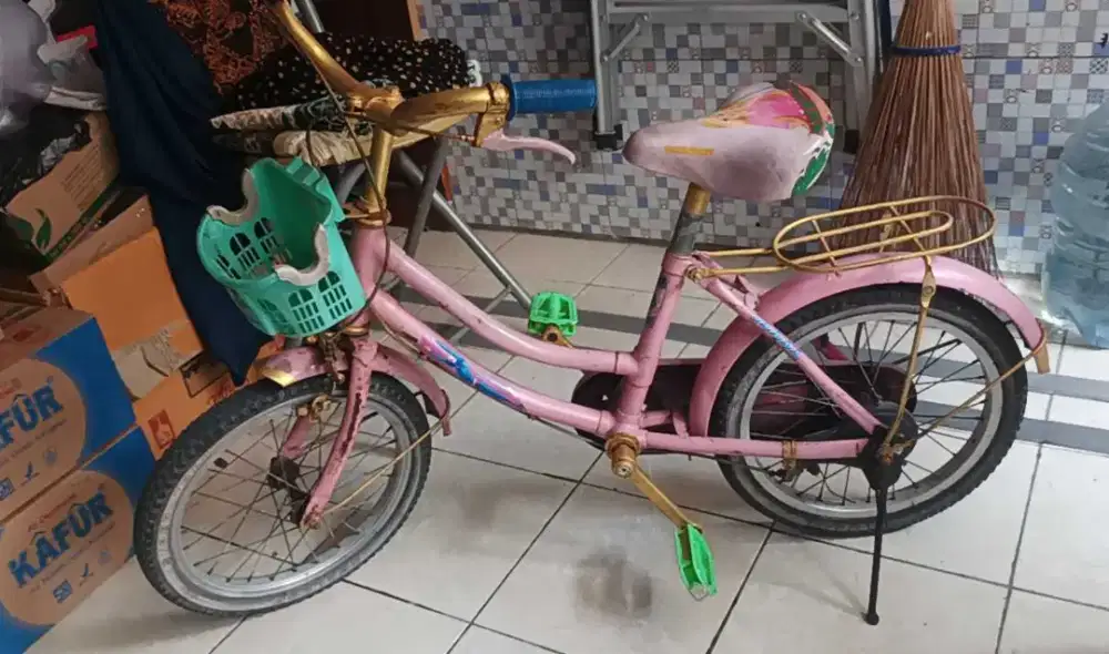 Sepeda Anak Pink R16