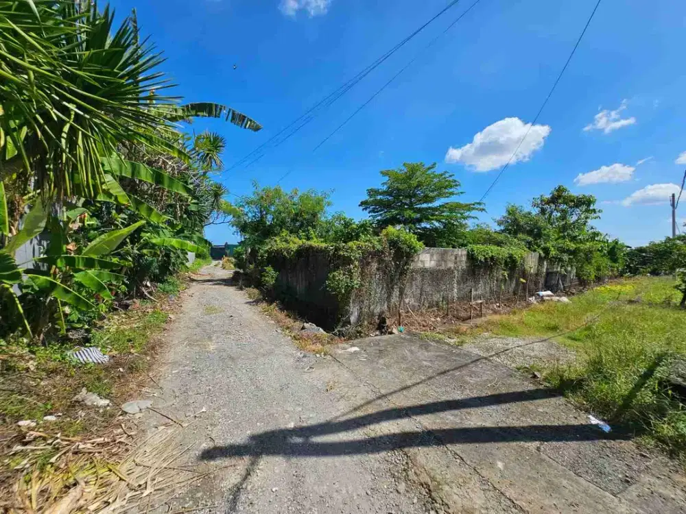 Tanah murah berawa canggu bali