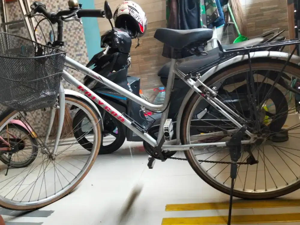 Sepeda polygon keranjang