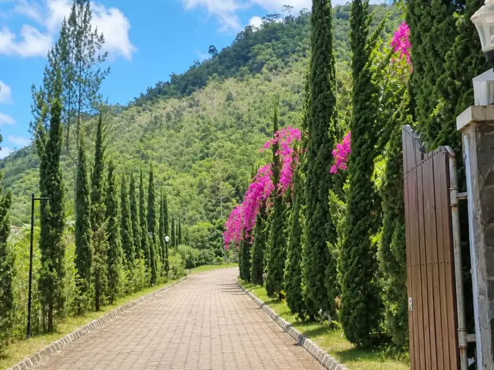 Villa Dijual di Puncak, Cianjur