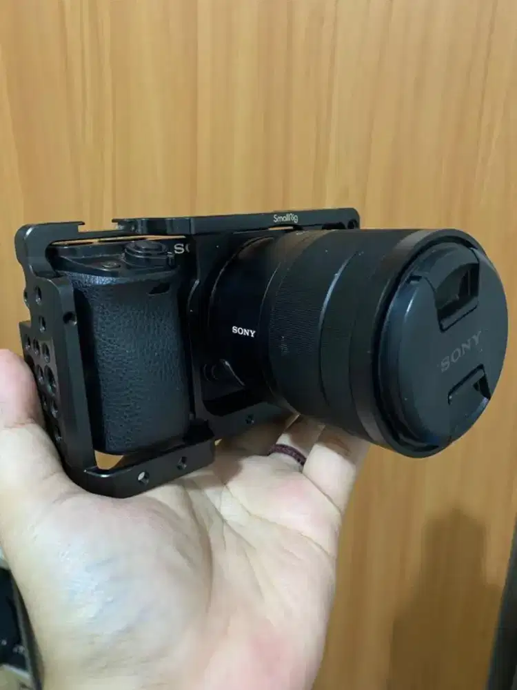 Sony A6000 Vario-Tessar T* E 16-70mm F4 ZA OSS