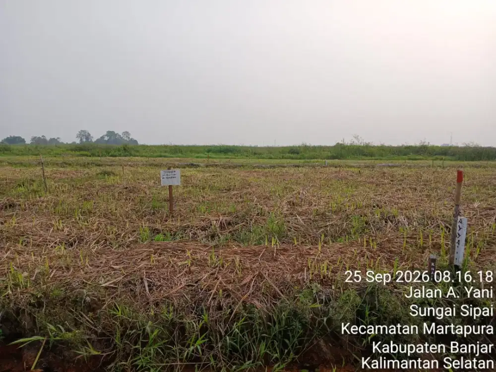 Dijual 2 Bidang Tanah Masuk Komplek ASABRI Sungai Sipai Martapura