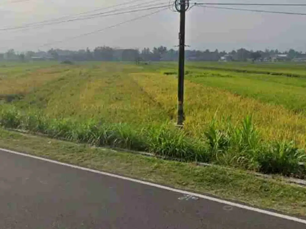 JUAL MURAH TANAH DI JALAN PARANGTRITIS PATALAN JETIS BANTUL YOGYAKARTA