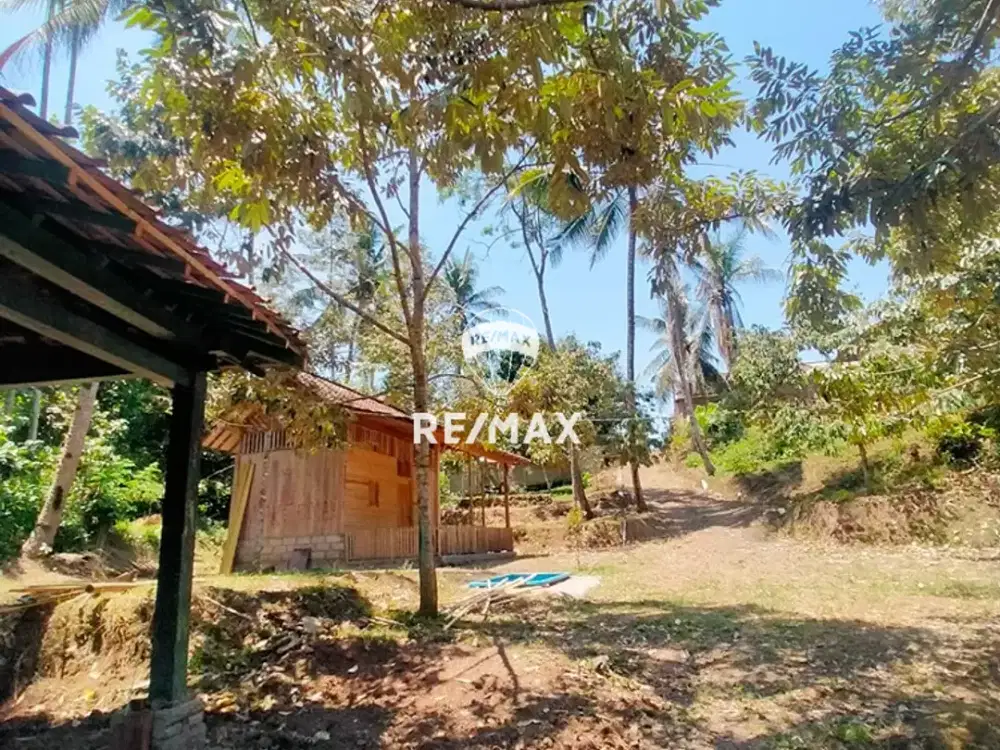 DIJUAL LAHAN KEBUN PRODUKTIF - PESUCEN BANYUWANGI