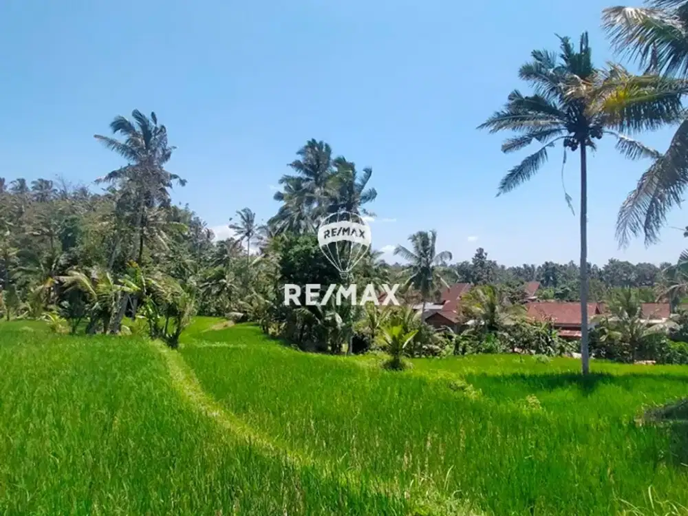 DIJUAL LAHAN KEBUN PRODUKTIF - TAMANSURUH BANYUWANGI