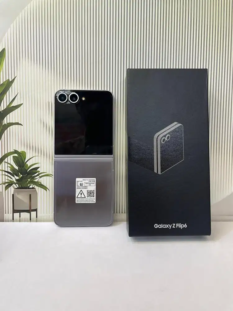 Samsung Galaxy Z Flip 6 12/256 Sein