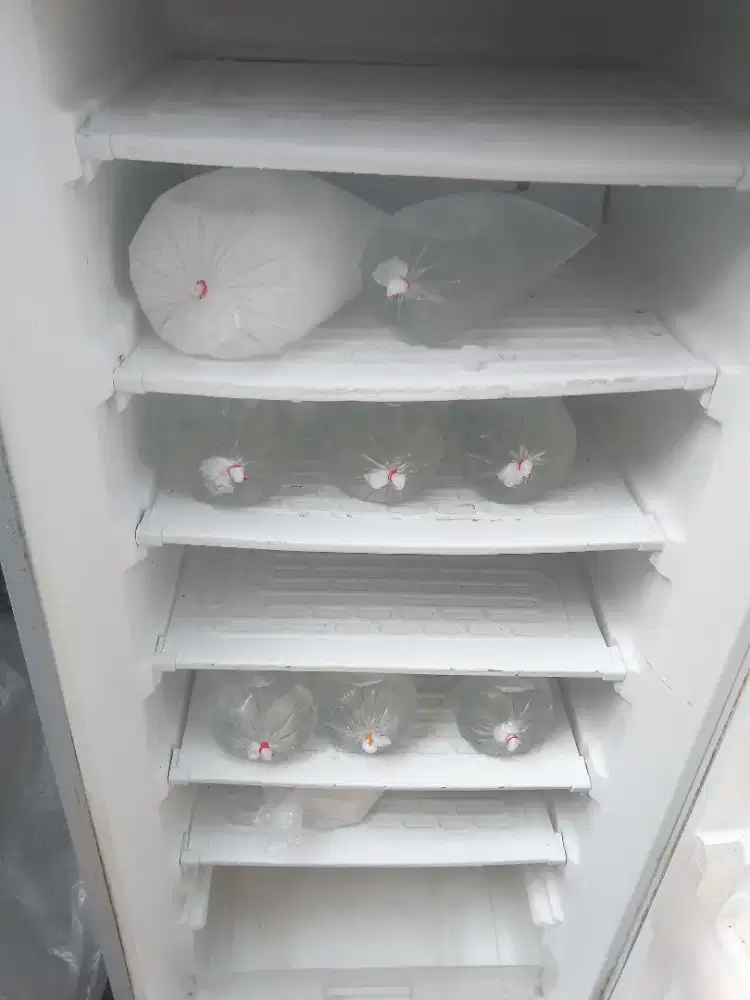 Freezer merk Sharp