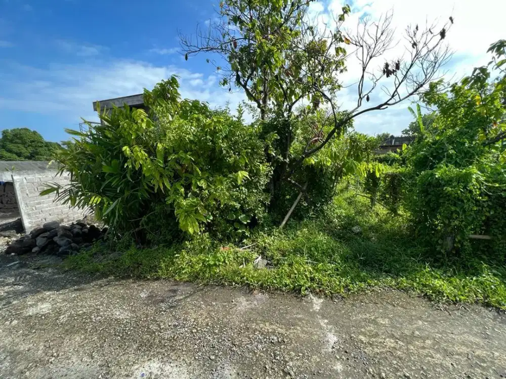 Tanah Siap Bangun Ukuran Kecil di Tiying Tutul, Pererenan