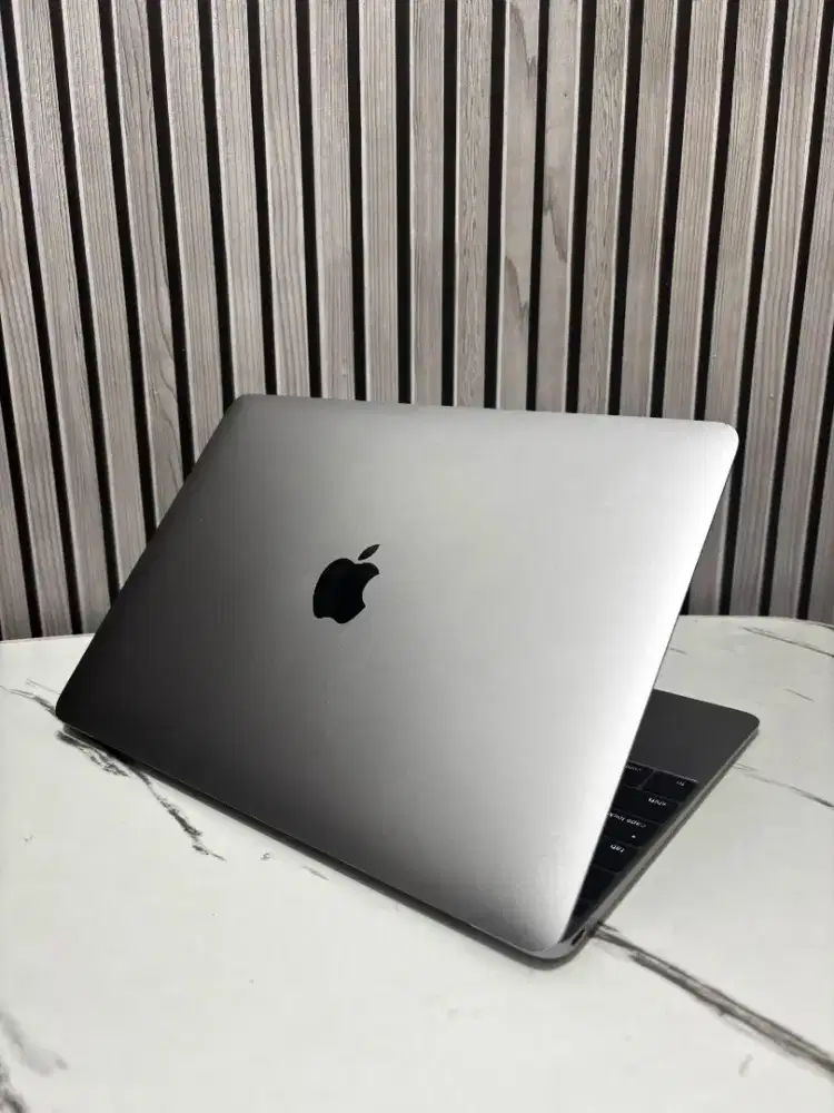 Macbook retina 2016 (12 inch 2k)