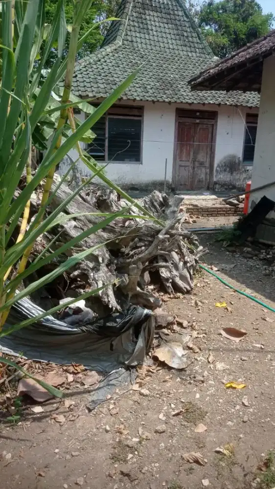 Rumah tua model joglo