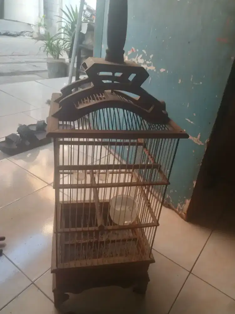 Kurungan untuk burcil
