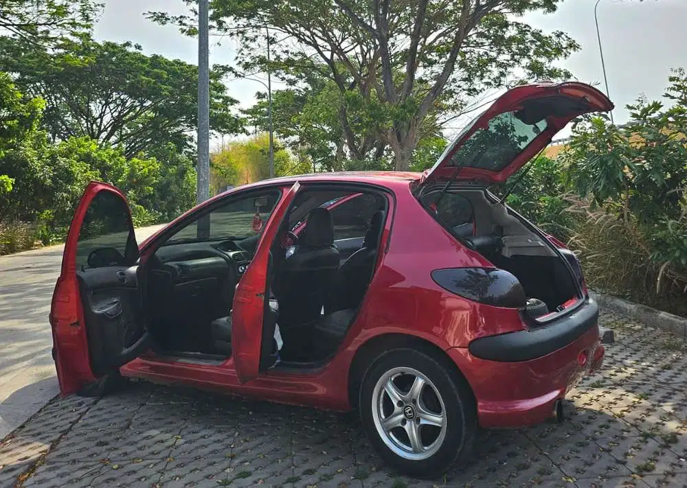 Peugeot 206 2004 Bensin