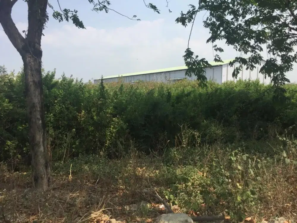 Dijual Tanah Lokasi Strategis di Manyar Maspion, Gresik