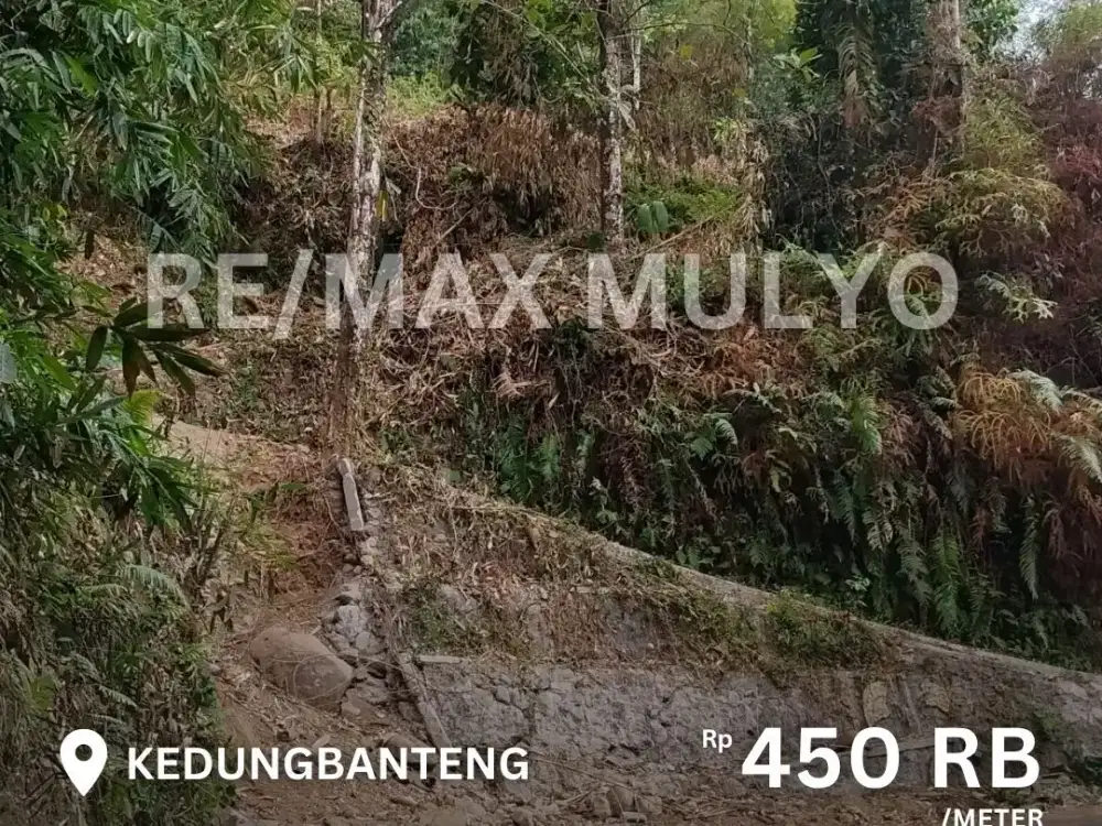 Dijual Tanah Seluas 2Ha Akses Mobil Area Kedugbanteng