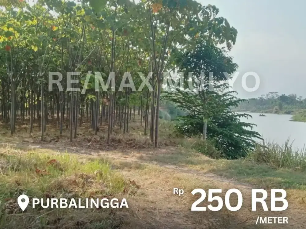 Dijual Murah!! Tanah 10 Ha Tapi Sungai Area Purbalingga