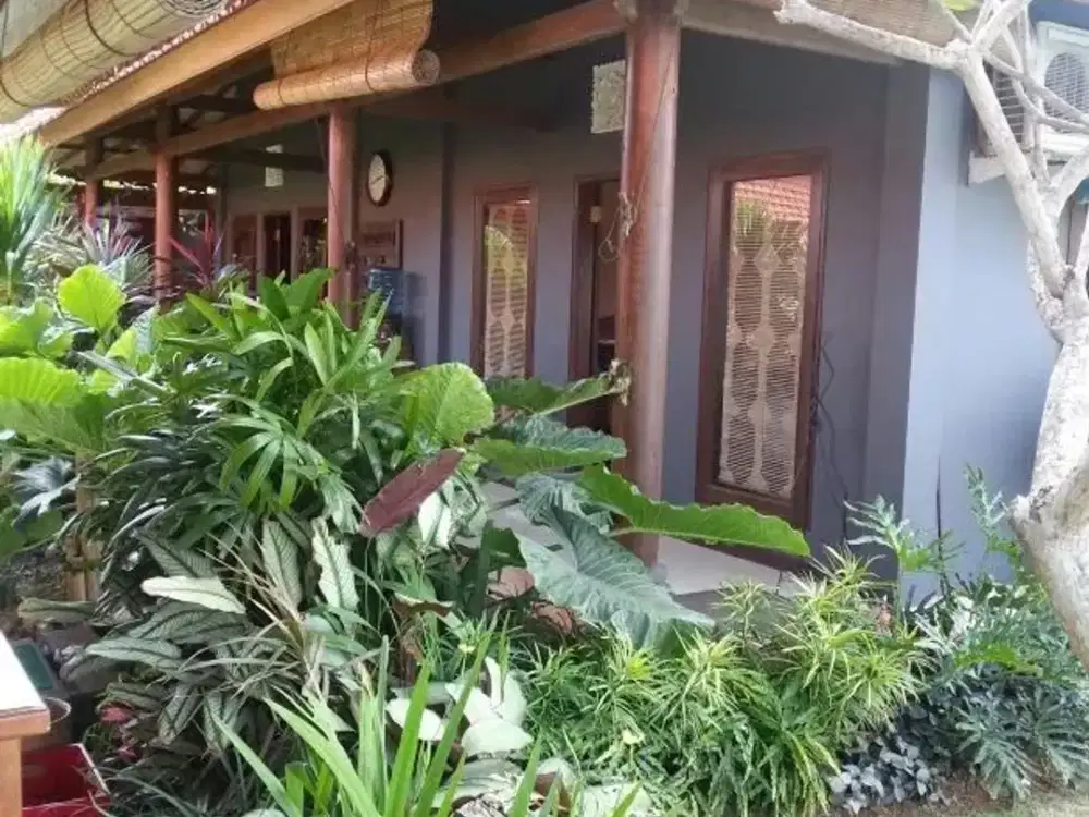 Jual & Sewa Villa 4BR di Umalas Bali Tanah 920 m² Dekat Seminyak Canggu
