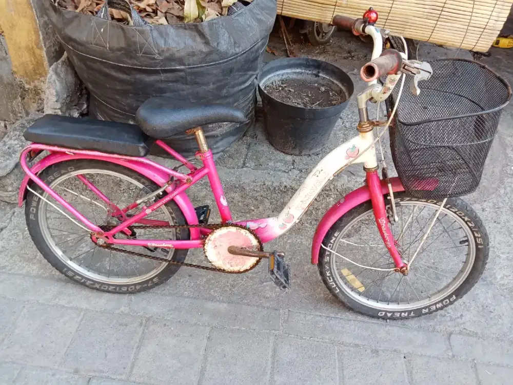 Sepeda anak perempuan WIMCYCLE STRAWBERRY R 20