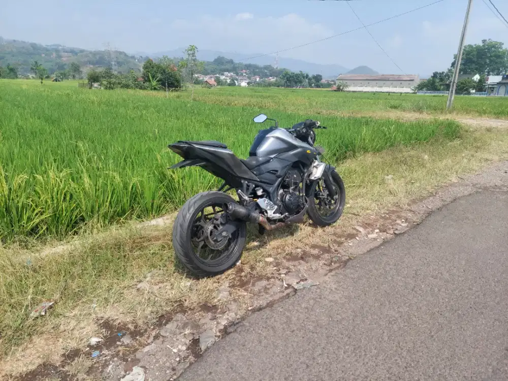Yamaha MT 25 2014