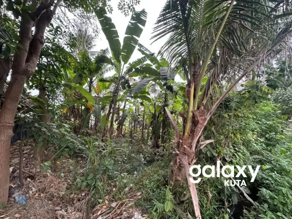 DIJUAL TANAH VIEW SAWAH DEKAT RS KASIH IBU DI TOJAN BLAHBATUH
