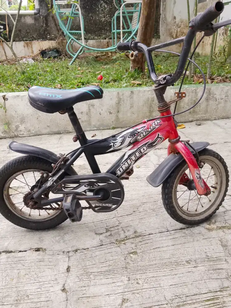 Sepeda anak United Shark 12 inch