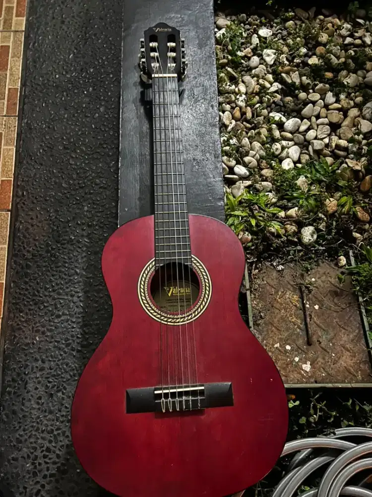 Gitar valencia 4/4