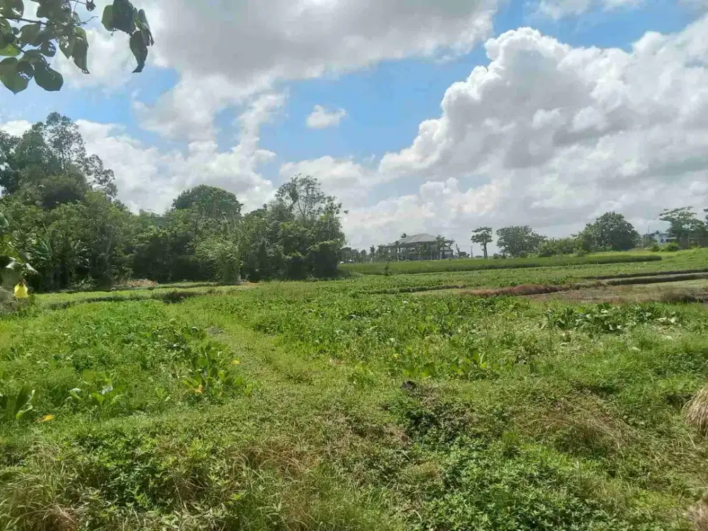 Tanah Prime View Sawah Di Ciputra Resort Pangkung Tibah Kediri Tabanan