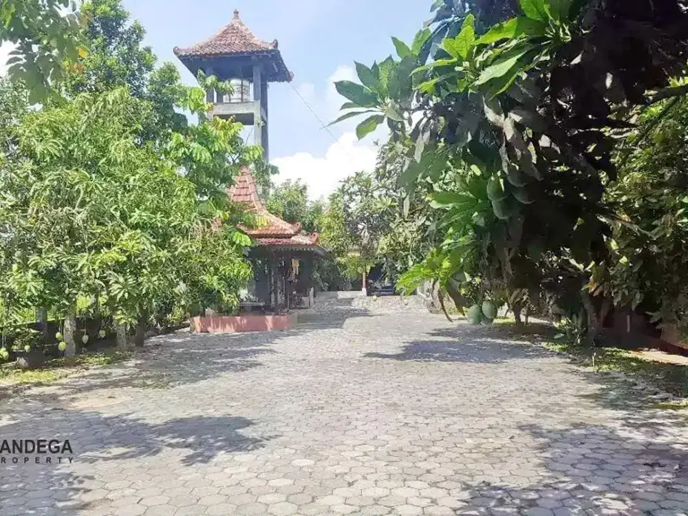 LT 1850 SEWON HOMESTAY FURNISHED JL. PARANGTRITIS KM 9,5 BANTUL DEKAT ISI, PASAR SENI GABUSAN, RUMAH BUDAYA TEMBI