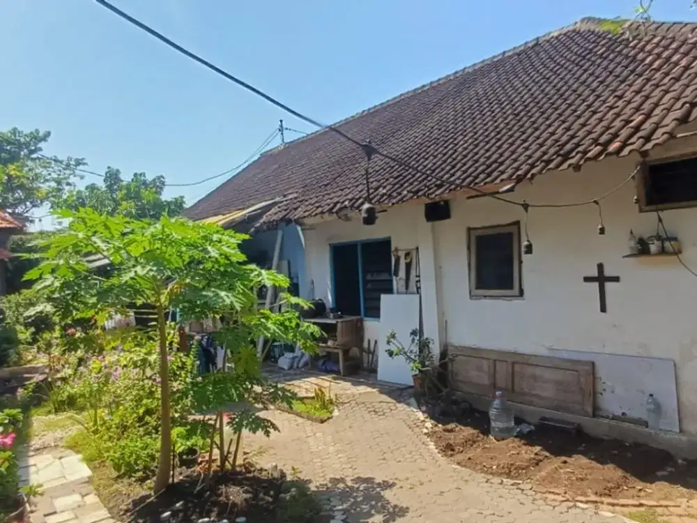 Dijual tanah + bangunan Lokasi waturenggonh panjer  Denpasar Selatan