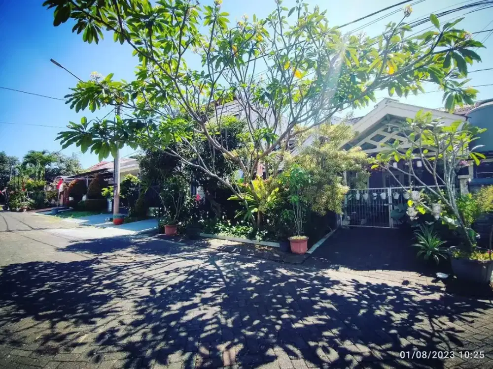 Dijual Rumah Araya Malang, Bangunan Terawat Siap Huni