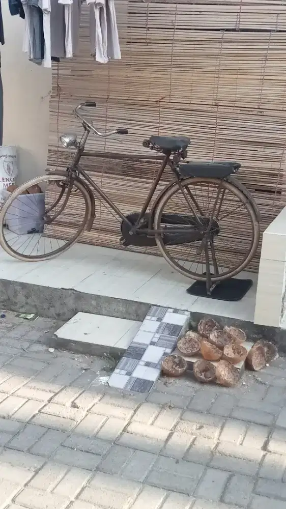 Sepeda antik ala  Bung Karno