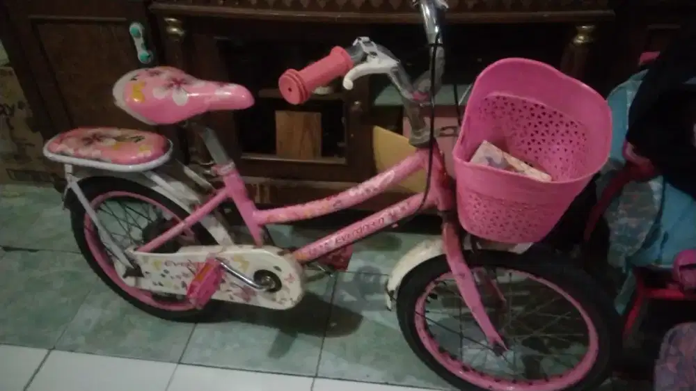 Sepeda Evergreen pink
