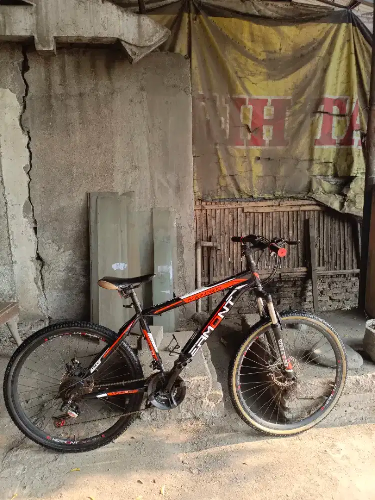 MTB Cermin Knight