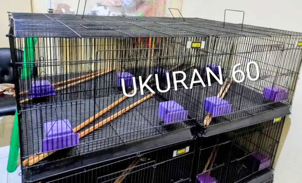 Kandang Sangkar Box Uk 60