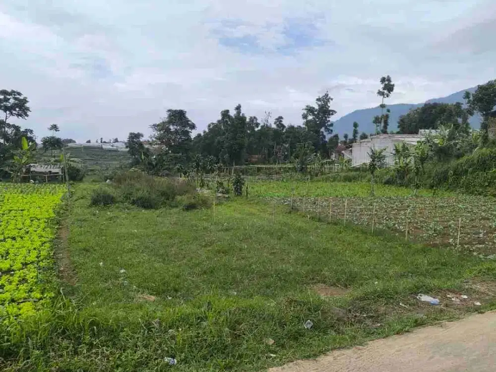JUAL TANAH CISARUA LEMBANG 475JT NEGO SHM