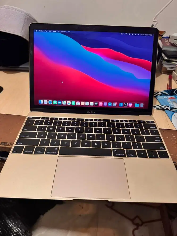 Macbook retina 12 inch mulus