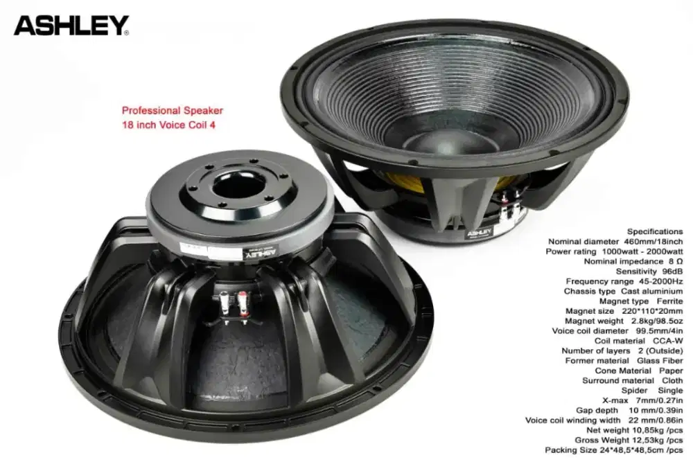 SPEAKER ASLEY  18 INC PROMO KREDIT BUNGA RINGAN